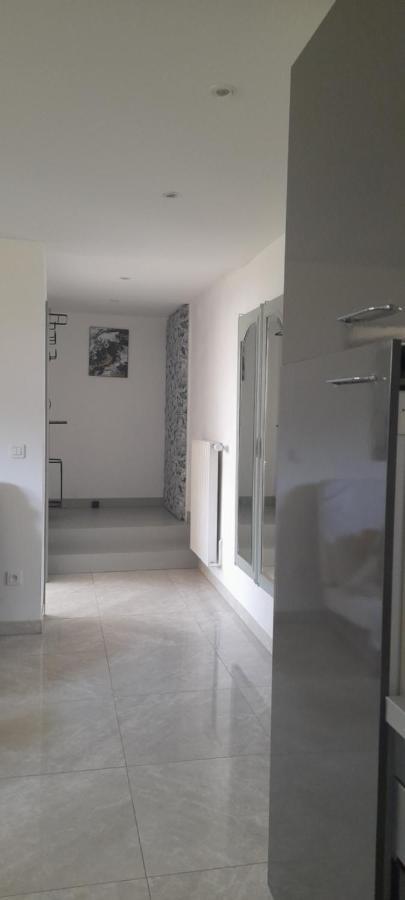 Apartamento Chez Flo Mittelhausbergen Exterior foto